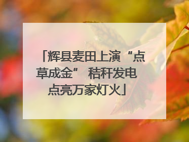 辉县麦田上演“点草成金” 秸秆发电点亮万家灯火