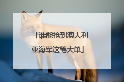 谁能抢到澳大利亚海军这笔大单