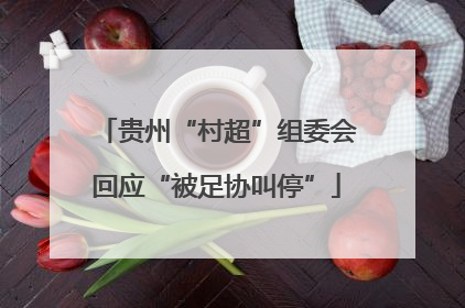 贵州“村超”组委会回应“被足协叫停”