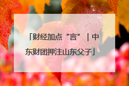 财经加点“言”｜中东财团押注山东父子