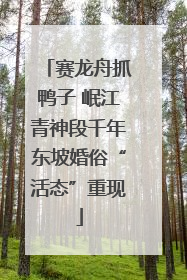 赛龙舟抓鸭子 岷江青神段千年东坡婚俗“活态”重现