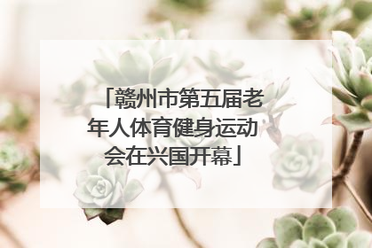 赣州市第五届老年人体育健身运动会在兴国开幕