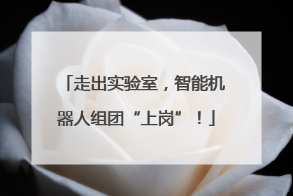 走出实验室，智能机器人组团“上岗”！