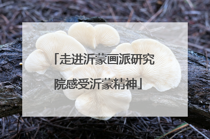 走进沂蒙画派研究院感受沂蒙精神