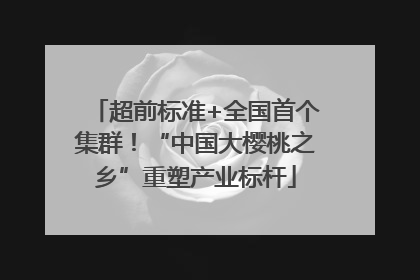 超前标准+全国首个集群！“中国大樱桃之乡”重塑产业标杆
