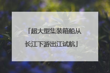 超大型集装箱船从长江下游出江试航