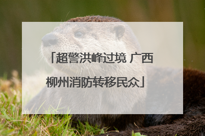 超警洪峰过境 广西柳州消防转移民众