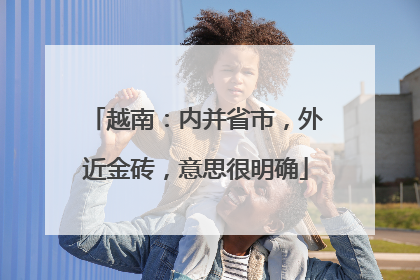 越南：内并省市，外近金砖，意思很明确