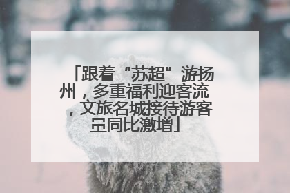 跟着“苏超”游扬州，多重福利迎客流，文旅名城接待游客量同比激增