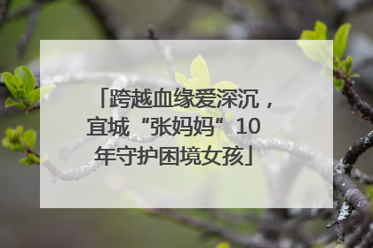跨越血缘爱深沉，宜城“张妈妈”10年守护困境女孩