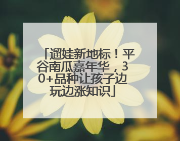 遛娃新地标！平谷南瓜嘉年华，30+品种让孩子边玩边涨知识