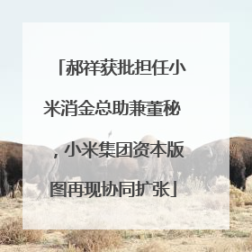 郝祥获批担任小米消金总助兼董秘，小米集团资本版图再现协同扩张
