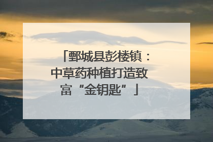鄄城县彭楼镇：中草药种植打造致富“金钥匙”