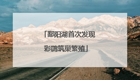 鄱阳湖首次发现彩鹮筑巢繁殖
