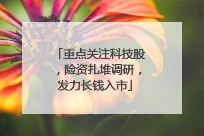 重点关注科技股，险资扎堆调研，发力长钱入市