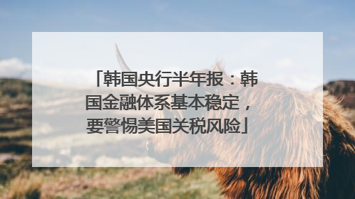 韩国央行半年报：韩国金融体系基本稳定，要警惕美国关税风险