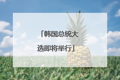 韩国总统大选即将举行