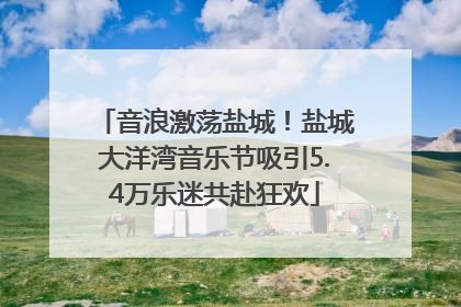 音浪激荡盐城！盐城大洋湾音乐节吸引5.4万乐迷共赴狂欢