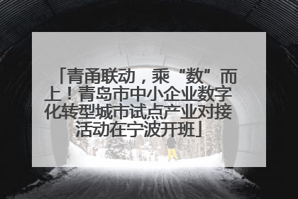 青甬联动，乘“数”而上！青岛市中小企业数字化转型城市试点产业对接活动在宁波开班