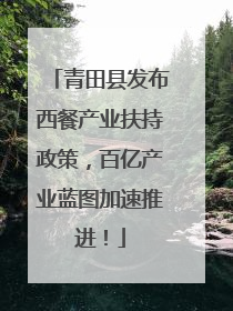青田县发布西餐产业扶持政策，百亿产业蓝图加速推进！