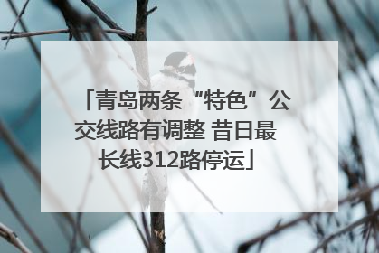 青岛两条“特色”公交线路有调整 昔日最长线312路停运