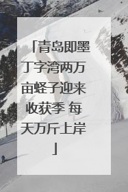 青岛即墨丁字湾两万亩蛏子迎来收获季 每天万斤上岸