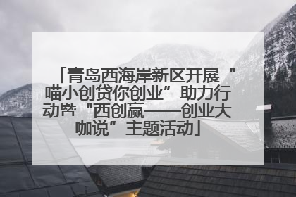 青岛西海岸新区开展“喵小创贷你创业”助力行动暨“西创赢——创业大咖说”主题活动