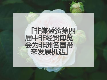 非媒盛赞第四届中非经贸博览会为非洲各国带来发展机遇