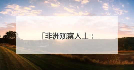 非洲观察人士：“一带一路”倡议至关重要 美国双标行径贻笑大方