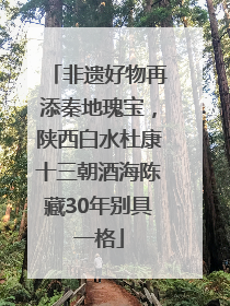 非遗好物再添秦地瑰宝，陕西白水杜康十三朝酒海陈藏30年别具一格