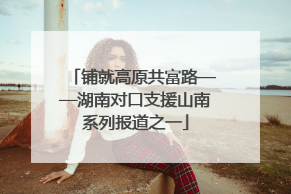 铺就高原共富路——湖南对口支援山南系列报道之一