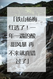 铁山杨梅红透了！一年一遇的酸甜风暴 再不来就真错过了
