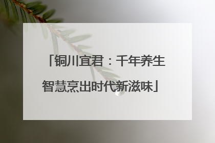 铜川宜君：千年养生智慧烹出时代新滋味