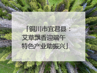 铜川市宜君县：艾草飘香迎端午 特色产业助振兴