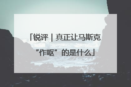 锐评｜真正让马斯克“作呕”的是什么