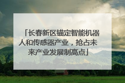 长春新区锚定智能机器人和传感器产业，抢占未来产业发展制高点