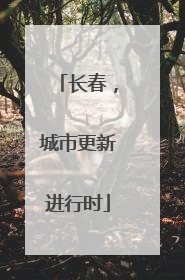 长春，城市更新进行时