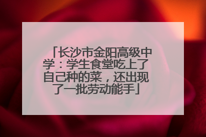 长沙市金阳高级中学：学生食堂吃上了自己种的菜，还出现了一批劳动能手