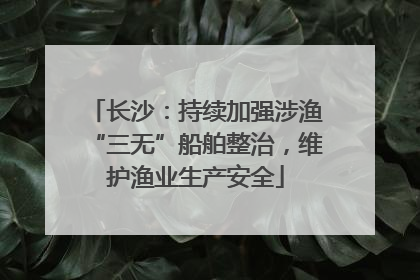长沙：持续加强涉渔“三无”船舶整治，维护渔业生产安全