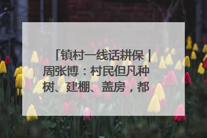 镇村一线话耕保｜周张博：村民但凡种树、建棚、盖房，都要向街道报批