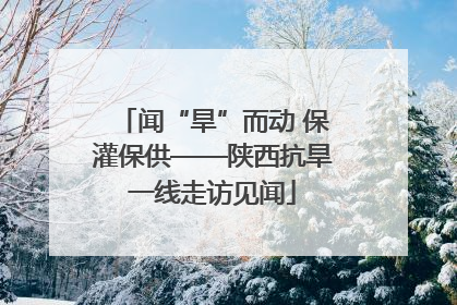 闻“旱”而动 保灌保供——陕西抗旱一线走访见闻