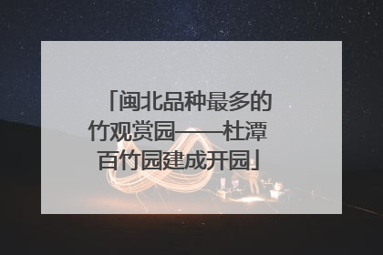 闽北品种最多的竹观赏园——杜潭百竹园建成开园