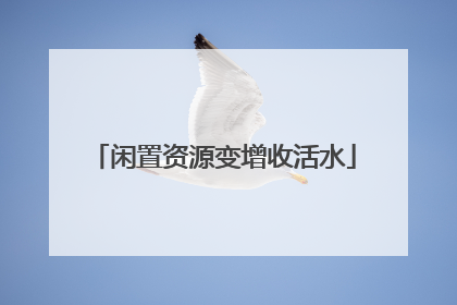 闲置资源变增收活水