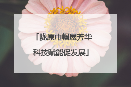 陇原巾帼展芳华 科技赋能促发展