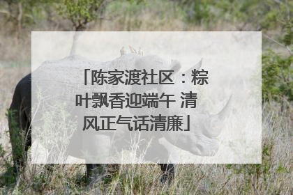 陈家渡社区：粽叶飘香迎端午 清风正气话清廉