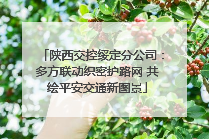 陕西交控绥定分公司：多方联动织密护路网 共绘平安交通新图景
