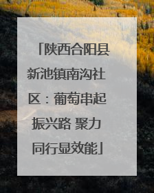 陕西合阳县新池镇南沟社区：葡萄串起振兴路 聚力同行显效能