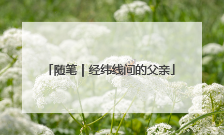 随笔｜经纬线间的父亲