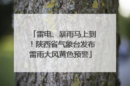 雷电、暴雨马上到！陕西省气象台发布雷雨大风黄色预警