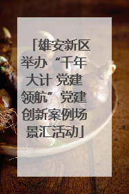 雄安新区举办“千年大计 党建领航”党建创新案例场景汇活动